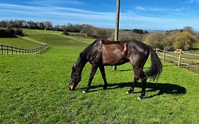 Byre - Farm Cottage On 9 Acre Equestrian Small Holding