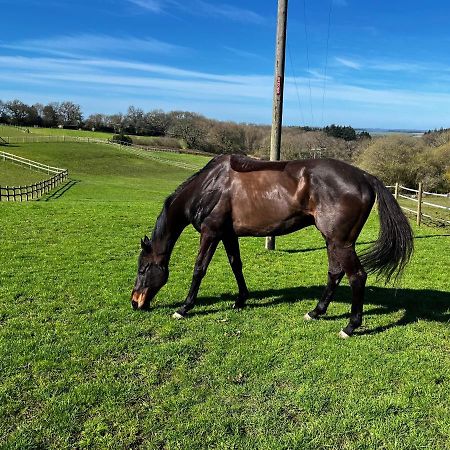 Byre - Farm Cottage On 9 Acre Equestrian Small Holding Salisbury Buitenkant foto