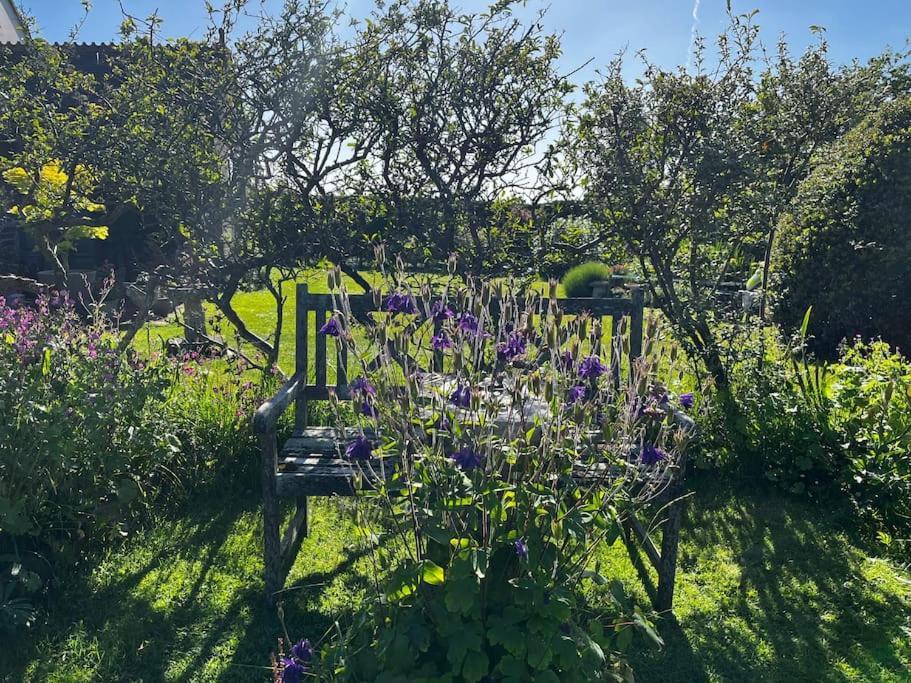 Byre - Farm Cottage On 9 Acre Equestrian Small Holding Salisbury Buitenkant foto