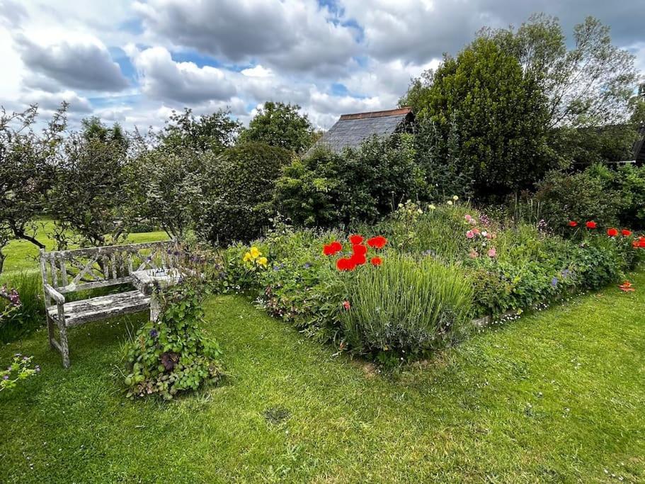 Byre - Farm Cottage On 9 Acre Equestrian Small Holding Salisbury Buitenkant foto