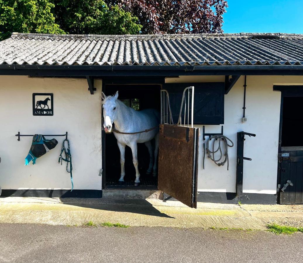 Byre - Farm Cottage On 9 Acre Equestrian Small Holding Salisbury Buitenkant foto