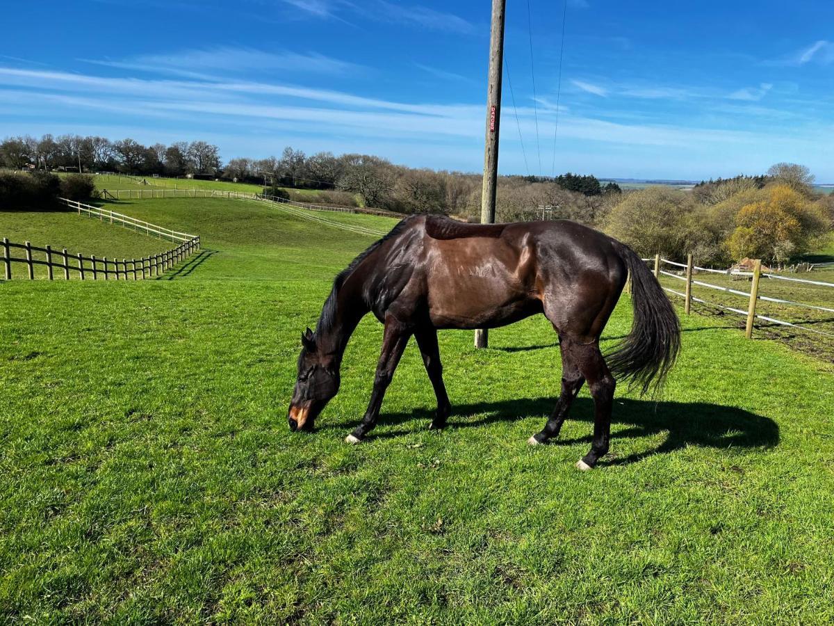 Byre - Farm Cottage On 9 Acre Equestrian Small Holding Salisbury Buitenkant foto